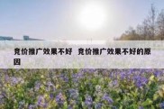 竞价推广效果不好  竞价推广效果不好的原因