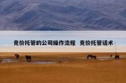 竞价托管的公司操作流程  竞价托管话术