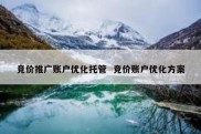 竞价推广账户优化托管  竞价账户优化方案