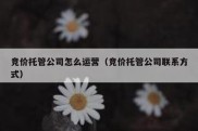 竞价托管公司怎么运营（竞价托管公司联系方式）