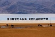 竞价托管怎么服务  竞价托管联系方式