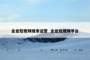 企业短视频搜索运营  企业短视频平台