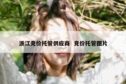 浙江竞价托管供应商  竞价托管图片