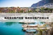 梅州竞价账户托管  梅州竞价账户托管公司