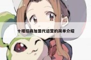 十堰招商加盟代运营的简单介绍