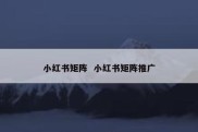 小红书矩阵  小红书矩阵推广