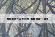 邯郸竞价托管怎么样  邯郸拍卖行 公告