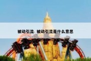 被动引流  被动引流是什么意思