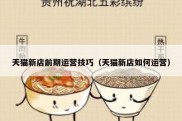 天猫新店前期运营技巧（天猫新店如何运营）