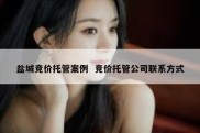 盐城竞价托管案例  竞价托管公司联系方式