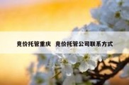 竞价托管重庆  竞价托管公司联系方式
