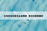 兰州竞价托管怎么收费的  竞价托管那里好