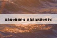 青岛竞价托管价格  青岛竞价托管价格多少