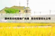潮州竞价托管推广效果  竞价托管优化公司