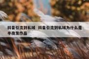 抖音引流到私域  抖音引流到私域为什么是半夜发作品