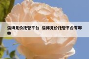 淄博竞价托管平台  淄博竞价托管平台有哪些
