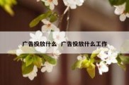 广告投放什么  广告投放什么工作