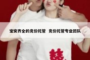 宝安齐全的竞价托管  竞价托管专业团队