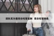 团队实力强竞价托管定制  竞价托管特色