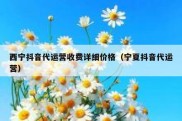 西宁抖音代运营收费详细价格（宁夏抖音代运营）