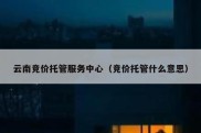 云南竞价托管服务中心（竞价托管什么意思）