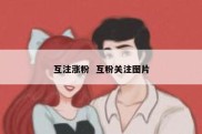 互注涨粉  互粉关注图片