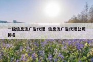 一级信息流广告代理  信息流广告代理公司排名