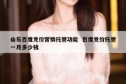 山东百度竞价营销托管功能  百度竞价托管一月多少钱