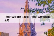 飞翔广告有限责任公司  飞翔广告传媒有限公司
