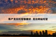 账户竞价托管哪里好  竞价网站托管