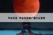平台引流  平台引流推广是什么意思