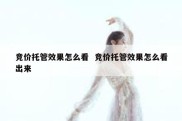 竞价托管效果怎么看  竞价托管效果怎么看出来