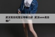 武汉竞价托管公司哪个好  武汉sem竞价推广