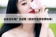 企业竞价推广代运营（竞价代运营收费标准）