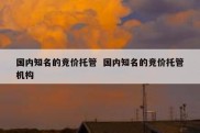 国内知名的竞价托管  国内知名的竞价托管机构