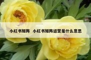 小红书矩阵  小红书矩阵运营是什么意思