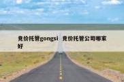 竞价托管gongsi  竞价托管公司哪家好