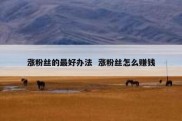 涨粉丝的最好办法  涨粉丝怎么赚钱