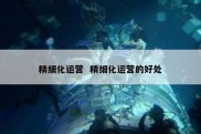 精细化运营  精细化运营的好处