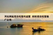 河北网站竞价托管代运营  好的竞价托管推广公司