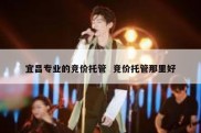 宜昌专业的竞价托管  竞价托管那里好