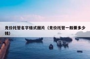 竞价托管名字格式图片（竞价托管一般要多少钱）