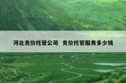 河北竞价托管公司  竞价托管服务多少钱