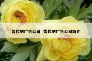 普拉纳广告公司  普拉纳广告公司简介