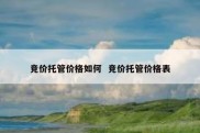 竞价托管价格如何  竞价托管价格表
