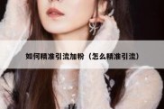 如何精准引流加粉（怎么精准引流）