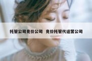 托管公司竞价公司  竞价托管代运营公司
