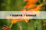 广告招商代理  广告招商加盟