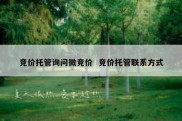 竞价托管询问微竞价  竞价托管联系方式