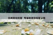 兰州竞价托管  专业的竞价托管公司